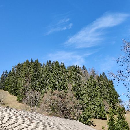 Отель Berggasthaus Prager Boden Тодтнау Экстерьер фото