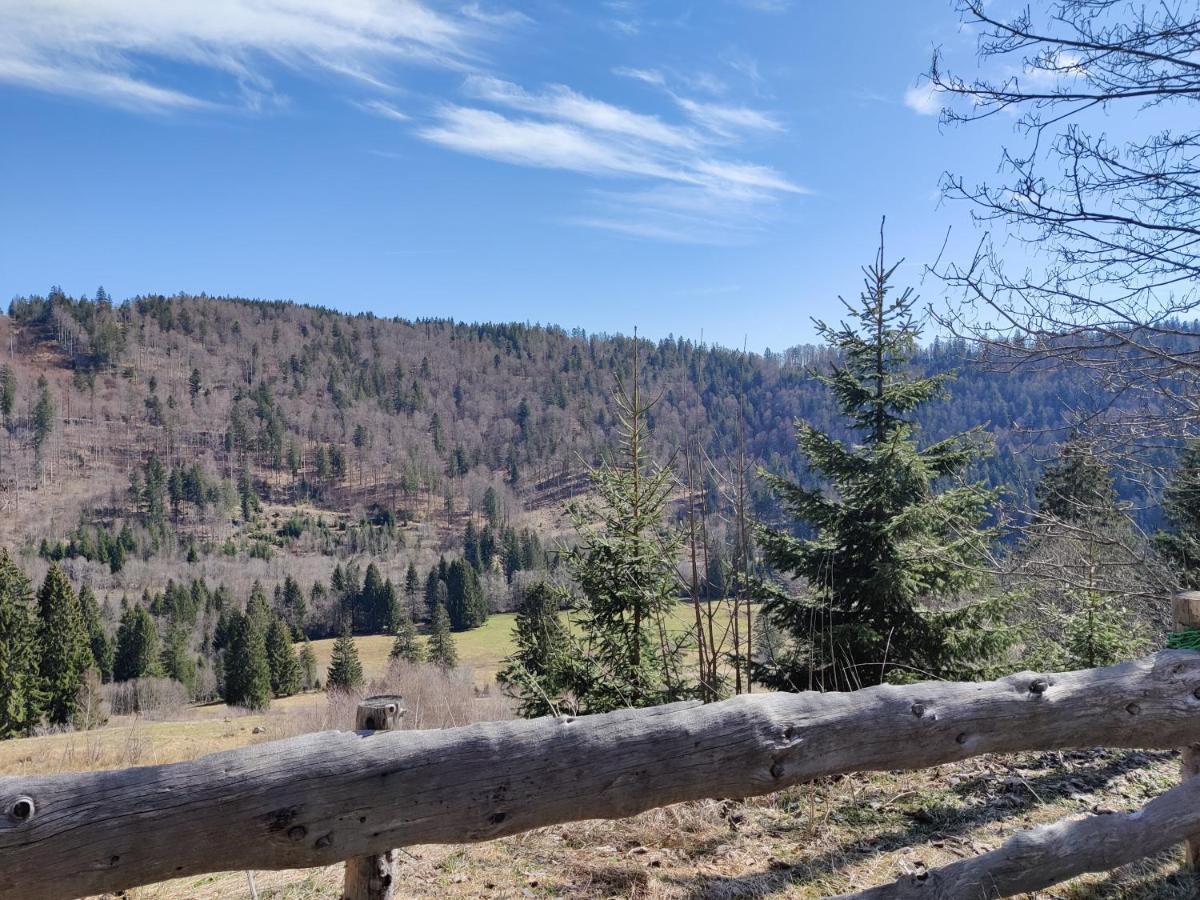 Berggasthaus Prager Boden Тодтнау Экстерьер фото
