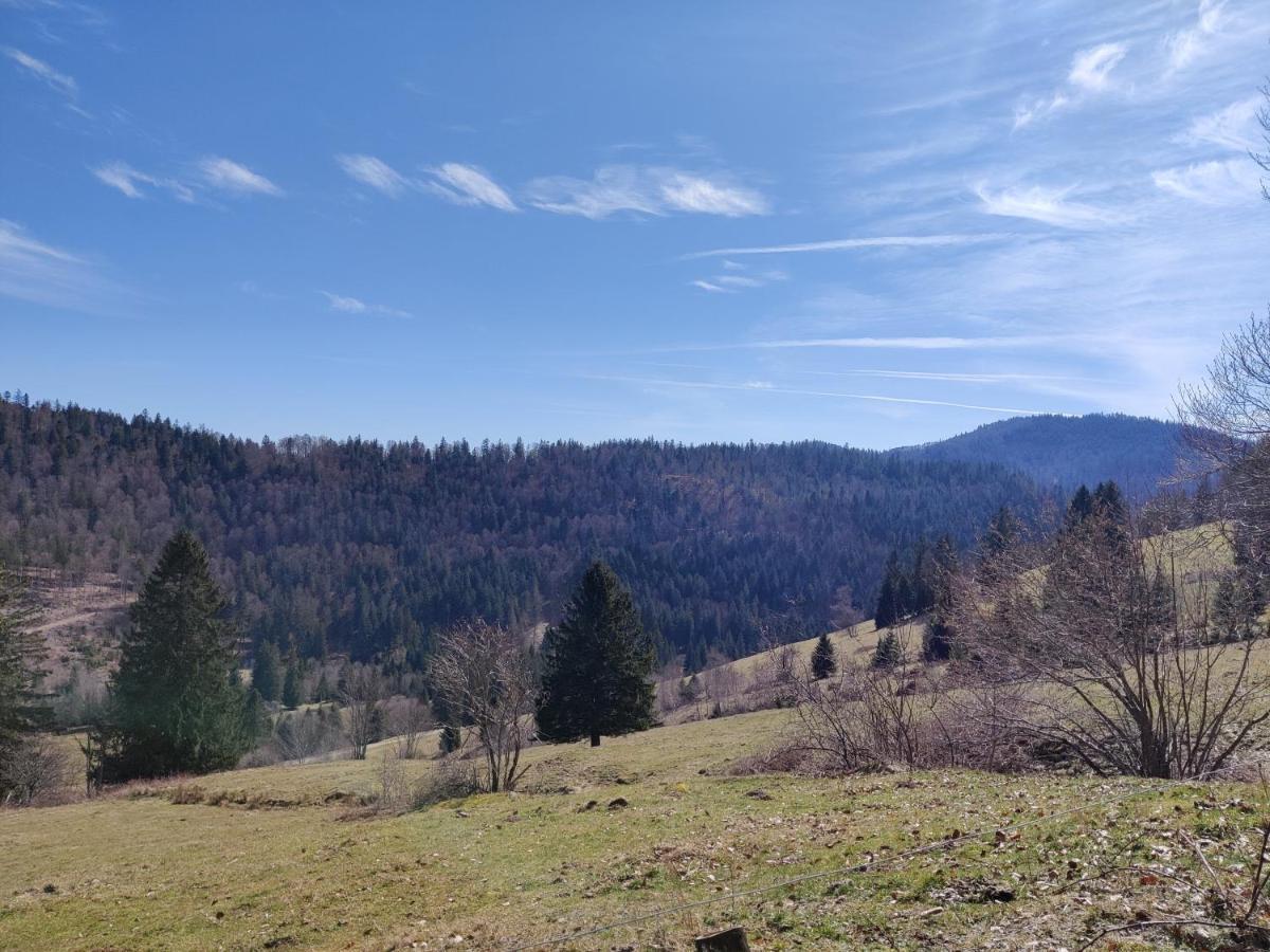 Отель Berggasthaus Prager Boden Тодтнау Экстерьер фото