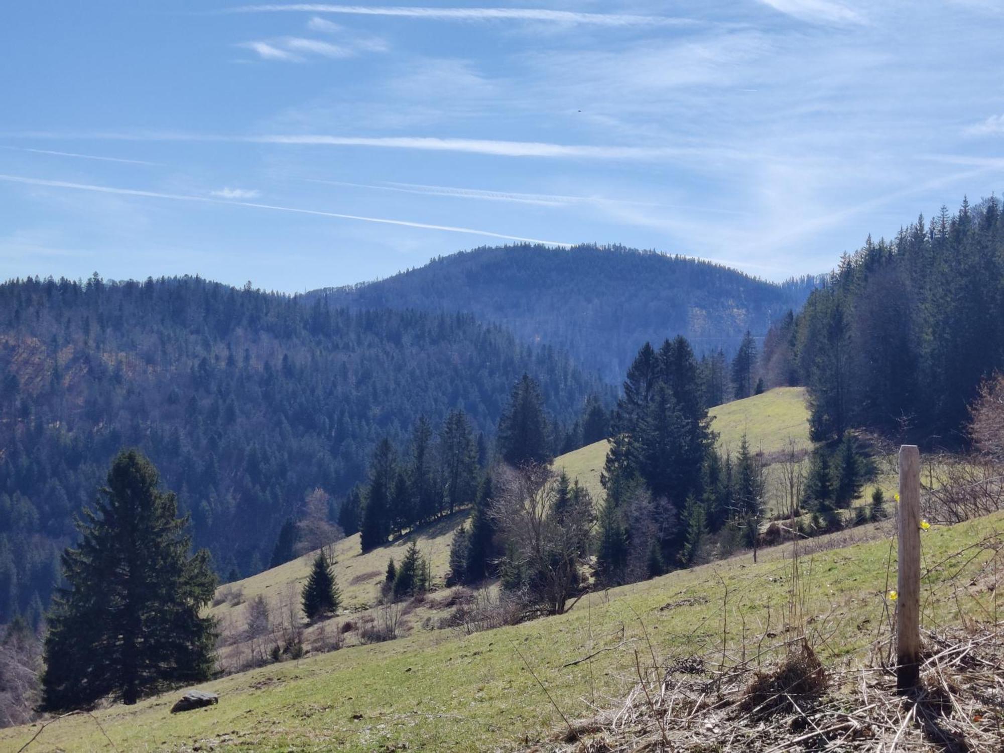 Отель Berggasthaus Prager Boden Тодтнау Экстерьер фото