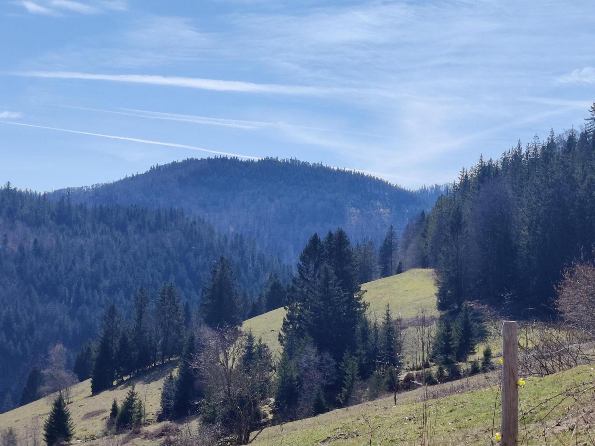 Отель Berggasthaus Prager Boden Тодтнау Экстерьер фото