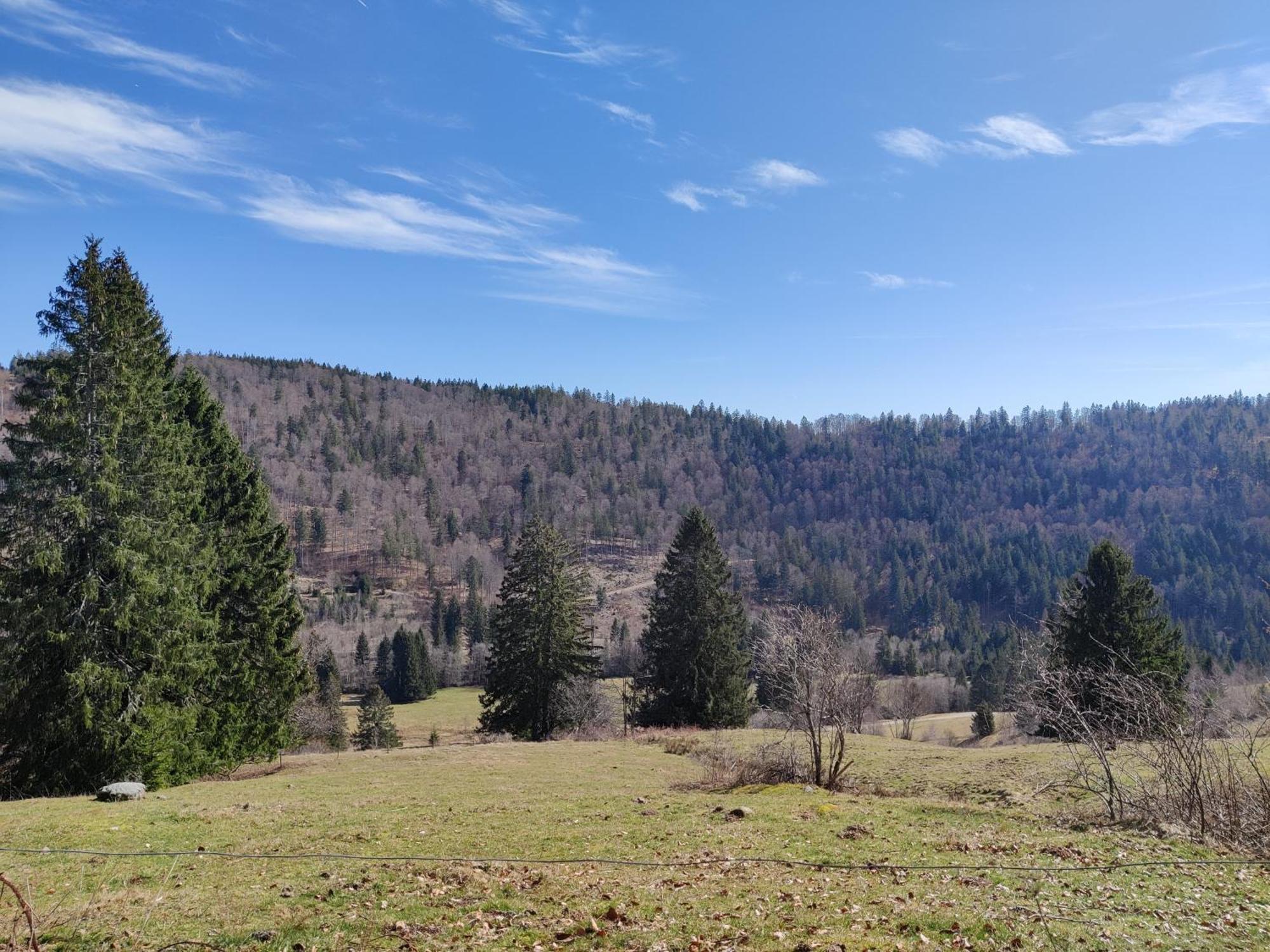 Отель Berggasthaus Prager Boden Тодтнау Экстерьер фото