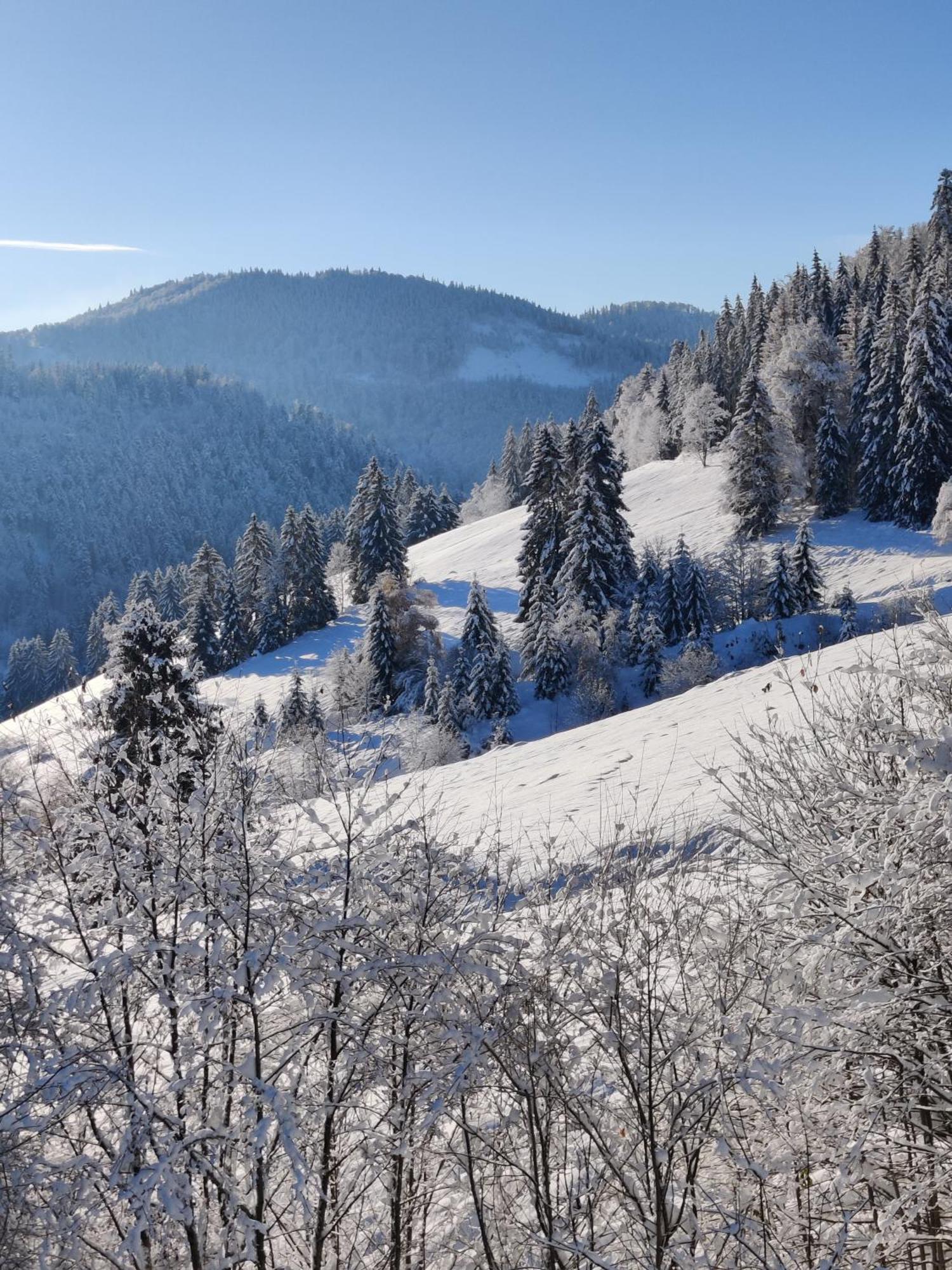 Отель Berggasthaus Prager Boden Тодтнау Экстерьер фото