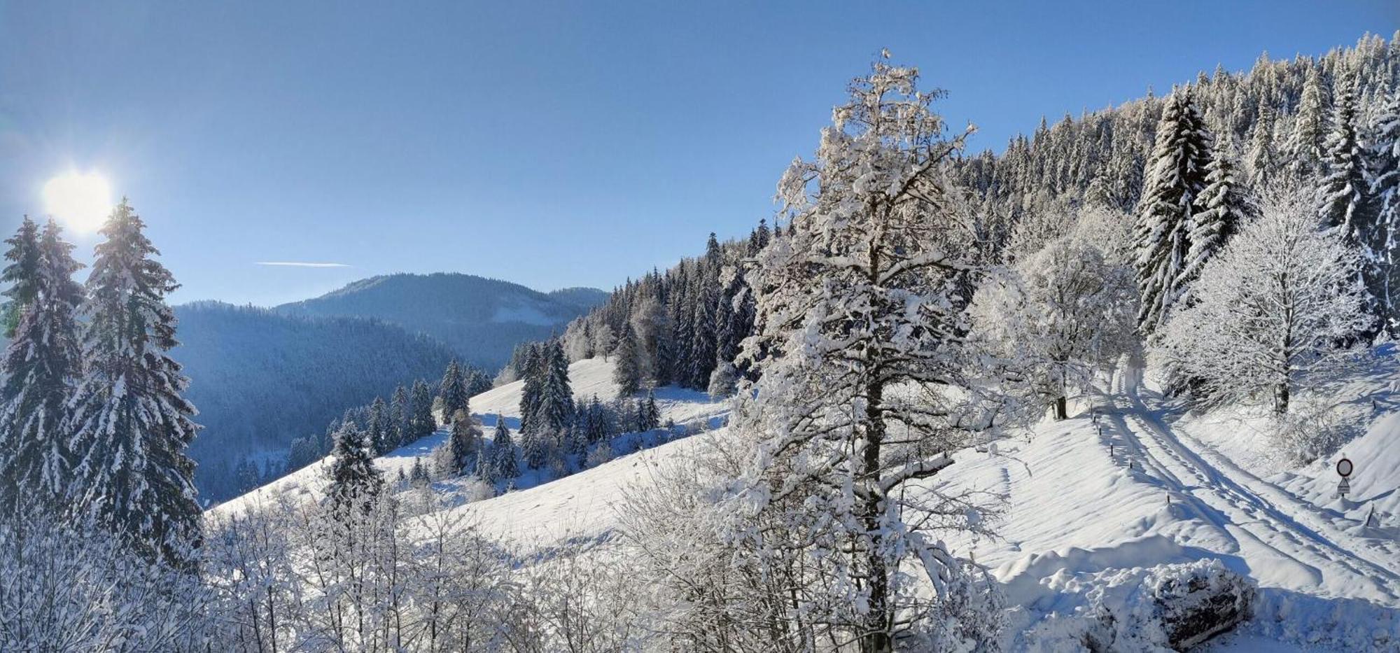 Отель Berggasthaus Prager Boden Тодтнау Экстерьер фото